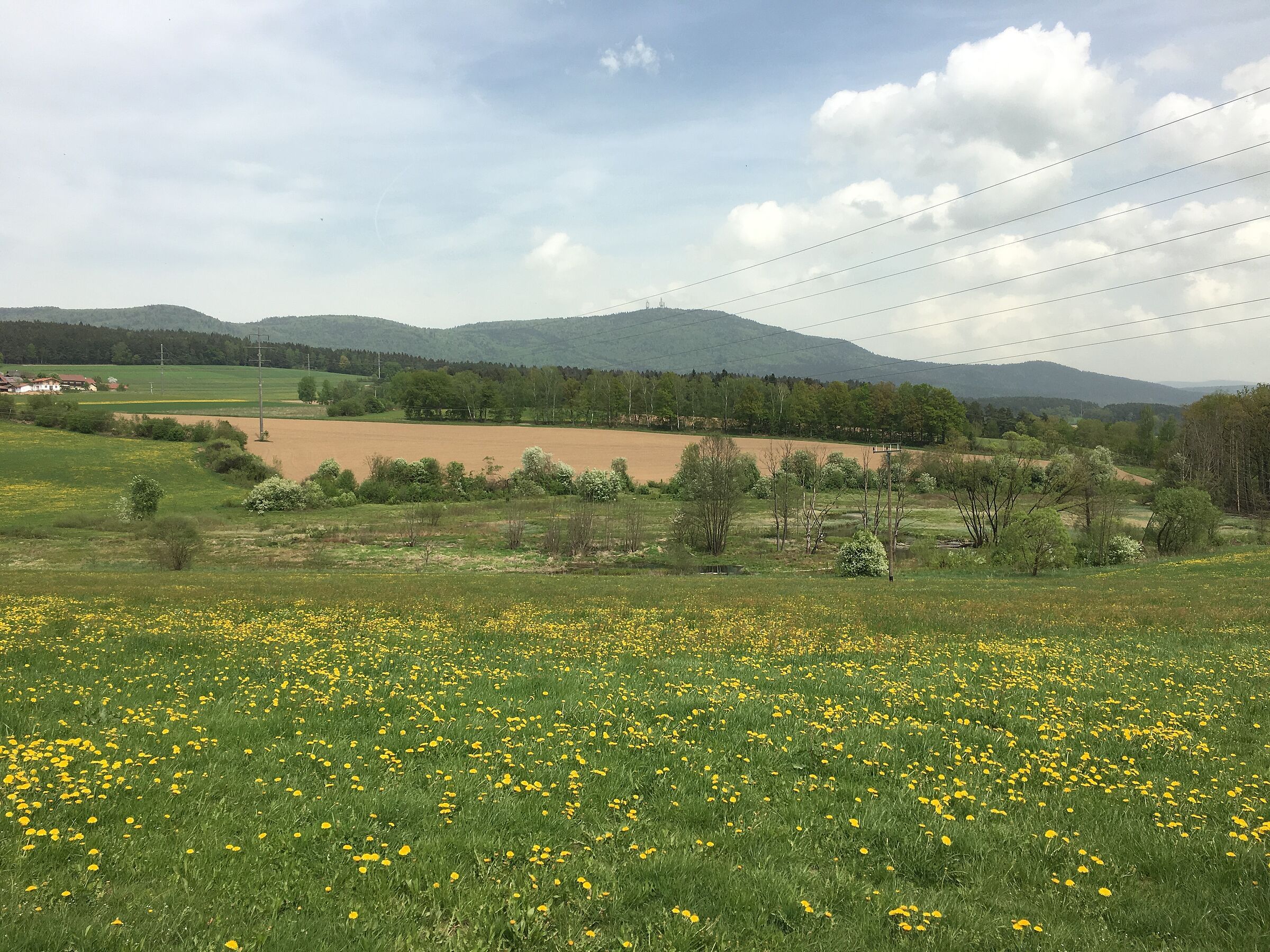 Naturraum Weisses Regental © Christian Vogl