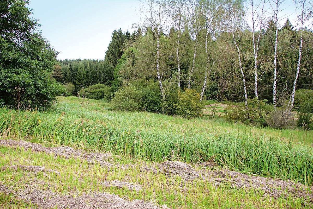 Landschaft Aukenzell