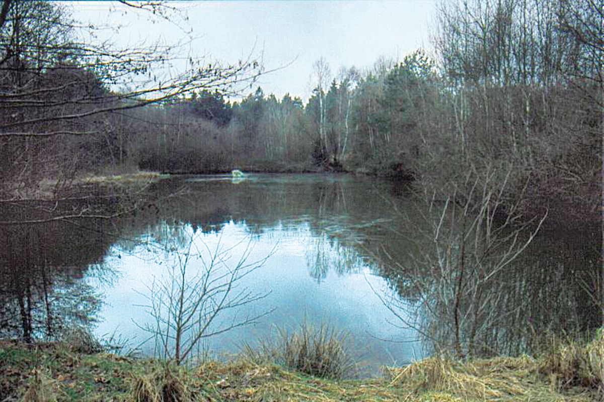 Landschaft Dürnberg