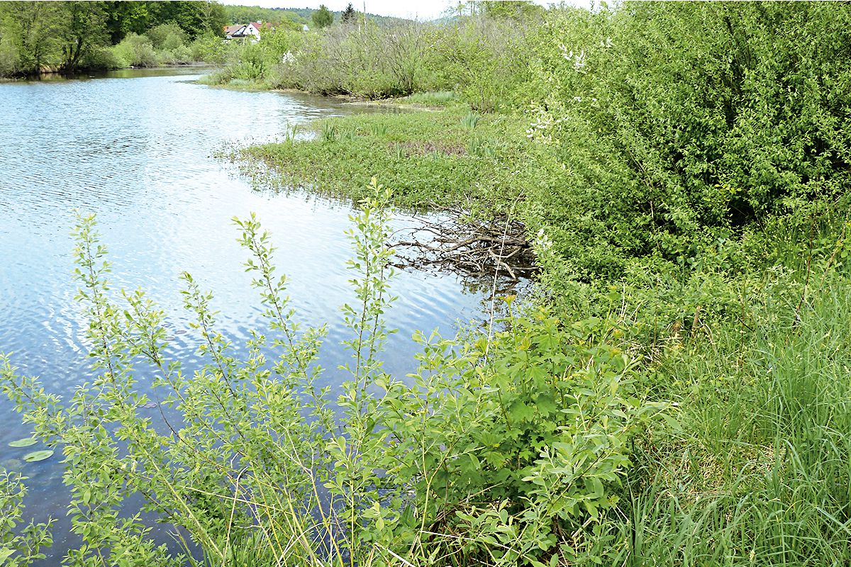 Landschaft Buigen